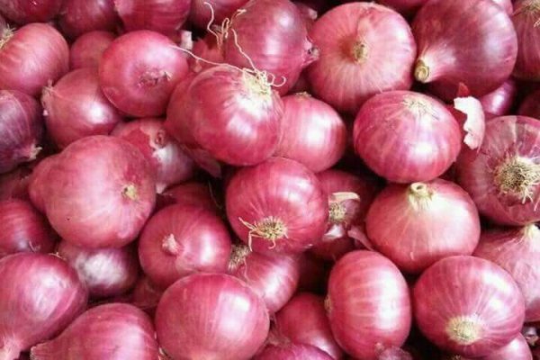 Гидра hydra hydra ssylka onion com