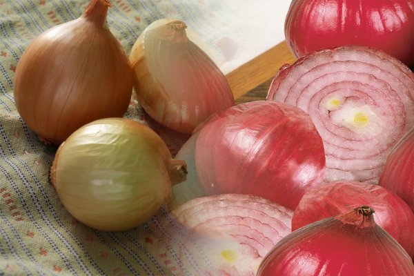 Кракен сайт магазин цены onion top